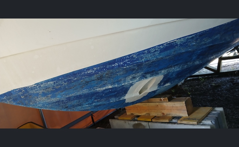 Bayliner 2550 Cierra Sunbridge-kuva-11